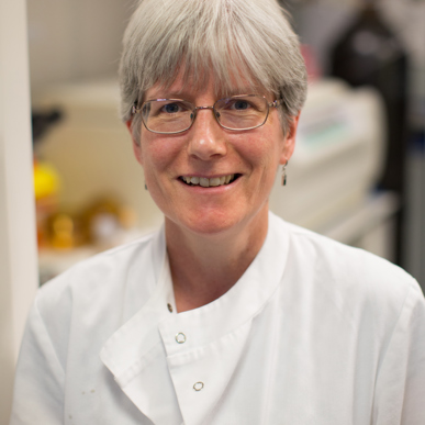 Ann Mccormack